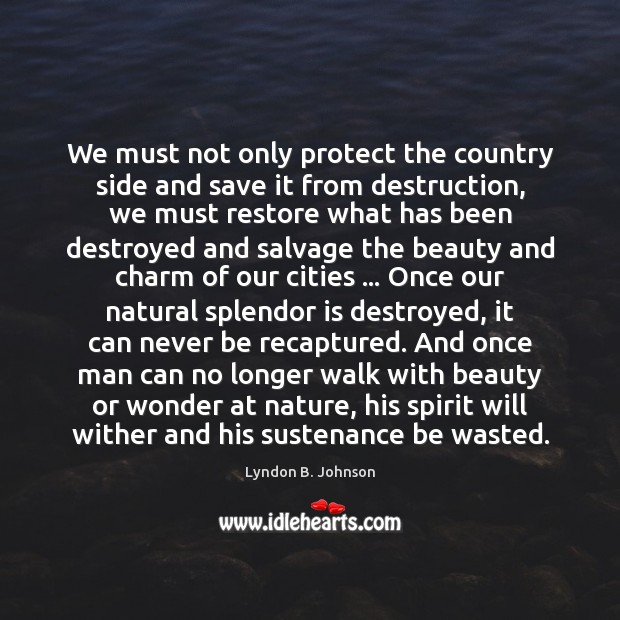 We must not only protect the country side and save it from Lyndon B. Johnson Picture Quote