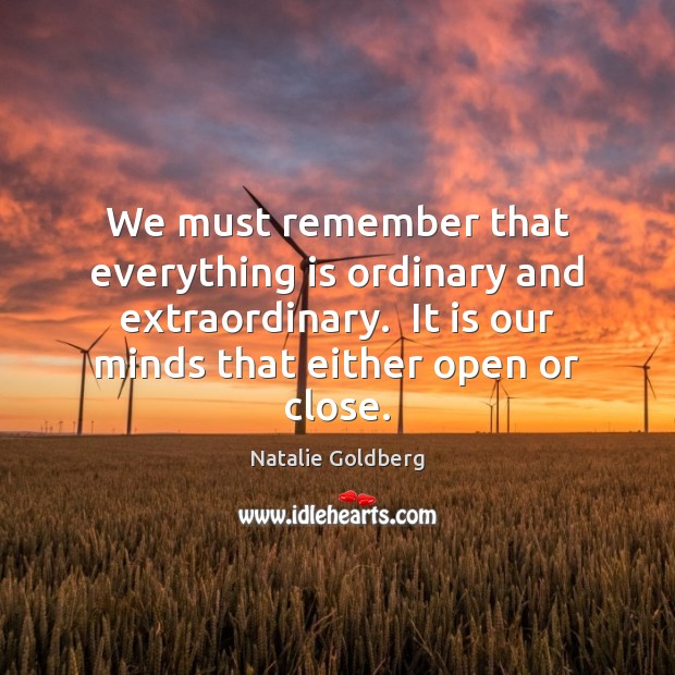We must remember that everything is ordinary and extraordinary.  It is our Natalie Goldberg Picture Quote