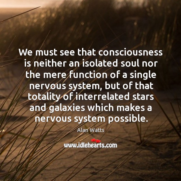We must see that consciousness is neither an isolated soul nor the Alan Watts Picture Quote