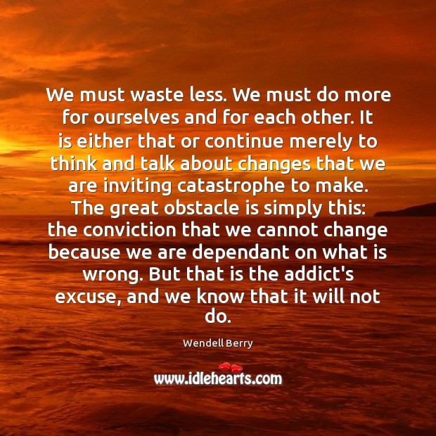 We must waste less. We must do more for ourselves and for Wendell Berry Picture Quote