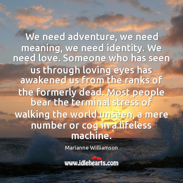 We need adventure, we need meaning, we need identity. We need love. Marianne Williamson Picture Quote
