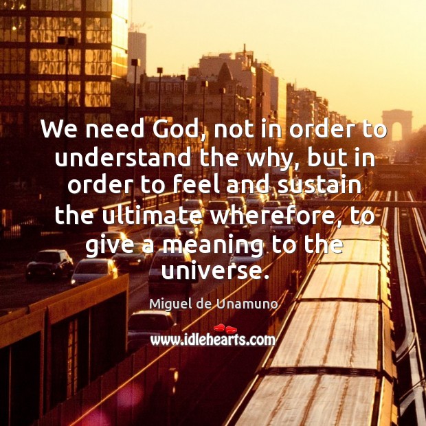 We need God, not in order to understand the why Image