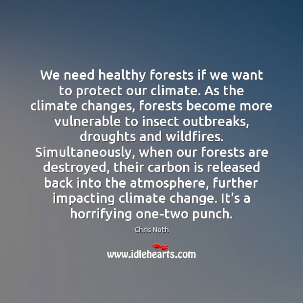 We need healthy forests if we want to protect our climate. As Climate Change Quotes Image