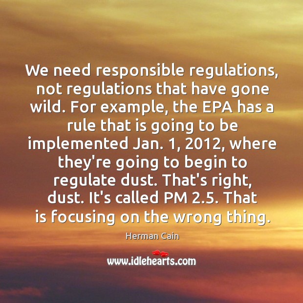 We need responsible regulations, not regulations that have gone wild. For example, Image