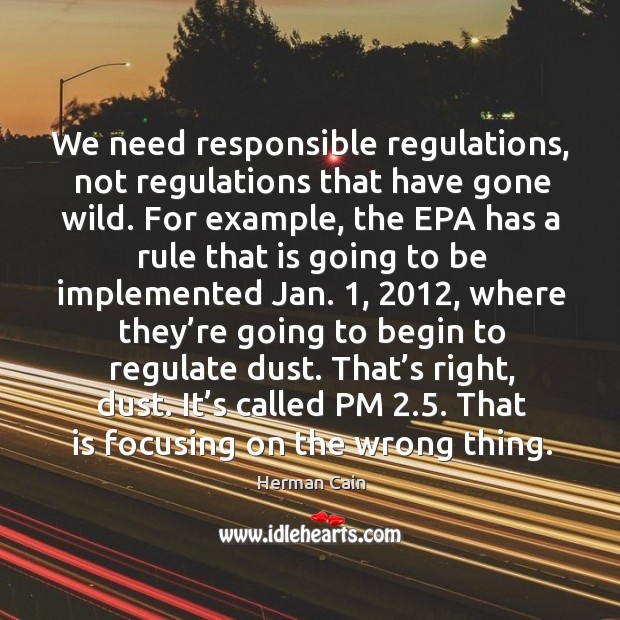 We need responsible regulations, not regulations that have gone wild. Herman Cain Picture Quote