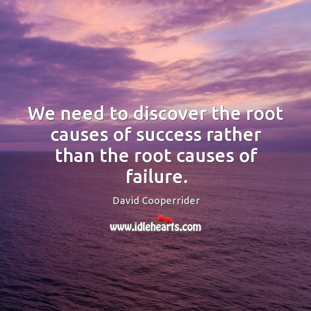 We need to discover the root causes of success rather than the root causes of failure. David Cooperrider Picture Quote