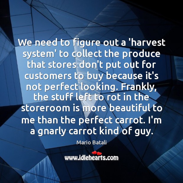 We need to figure out a ‘harvest system’ to collect the produce Mario Batali Picture Quote