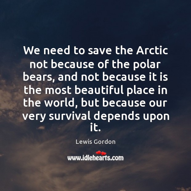 We need to save the Arctic not because of the polar bears, Lewis Gordon Picture Quote
