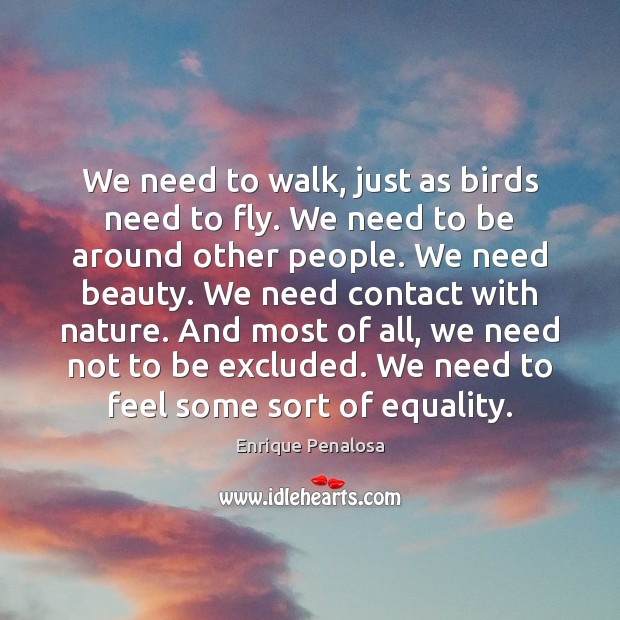 We need to walk, just as birds need to fly. We need Image
