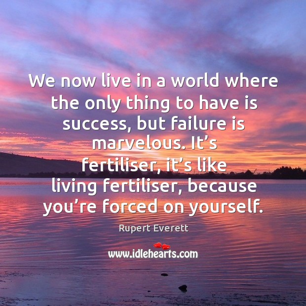 We now live in a world where the only thing to have is success Rupert Everett Picture Quote