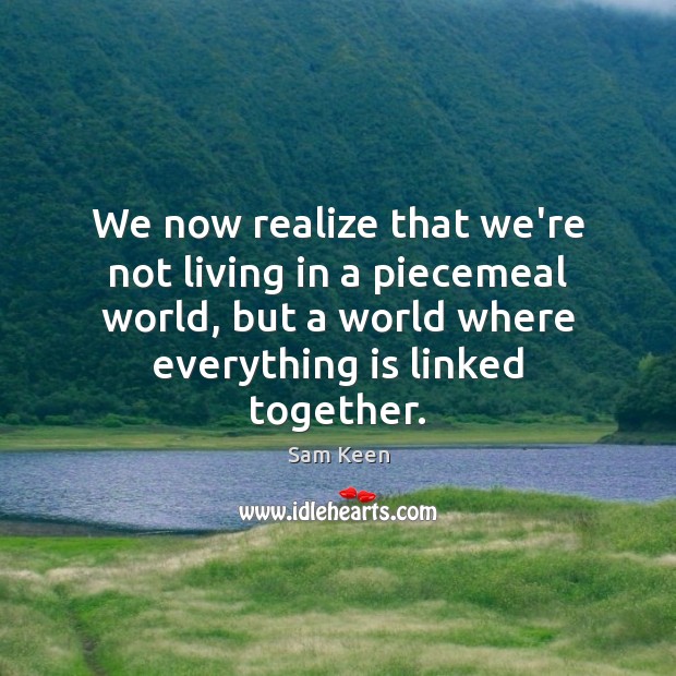 We now realize that we’re not living in a piecemeal world, but Realize Quotes Image
