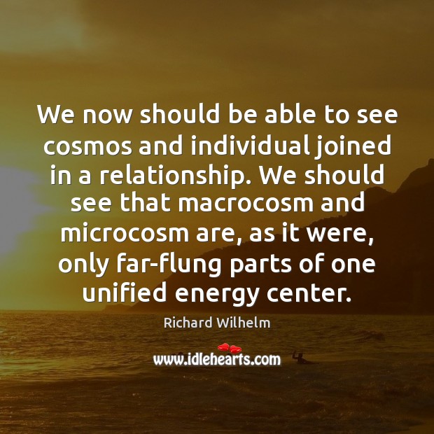 We now should be able to see cosmos and individual joined in Richard Wilhelm Picture Quote