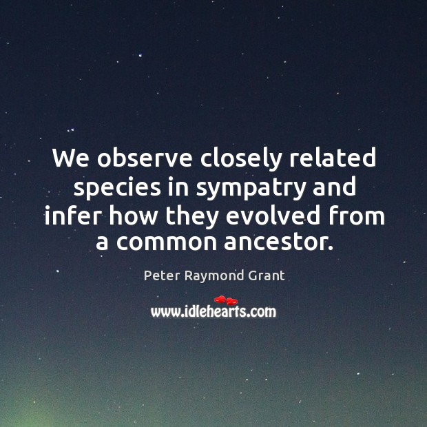 We observe closely related species in sympatry and infer how they evolved from a common ancestor. Peter Raymond Grant Picture Quote