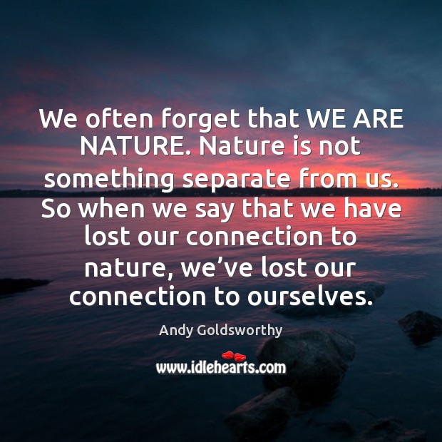 We often forget that WE ARE NATURE. Nature is not something separate Andy Goldsworthy Picture Quote