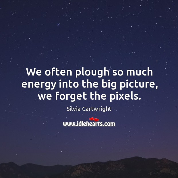 We often plough so much energy into the big picture, we forget the pixels. Silvia Cartwright Picture Quote