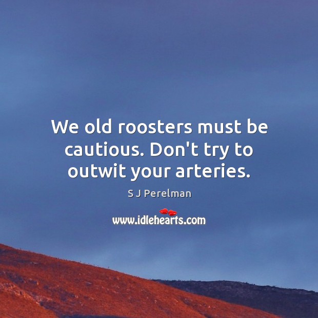 We old roosters must be cautious. Don’t try to outwit your arteries. S J Perelman Picture Quote
