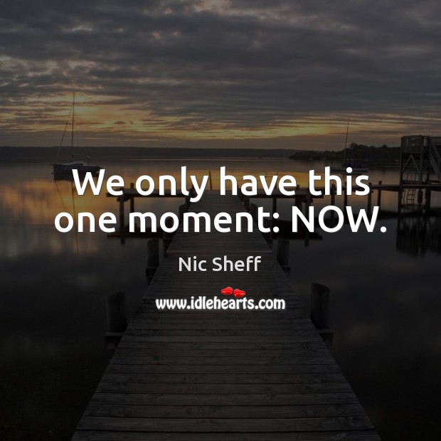 We only have this one moment: NOW. Nic Sheff Picture Quote