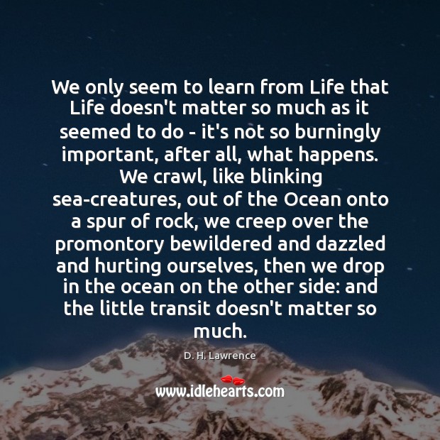 We only seem to learn from Life that Life doesn’t matter so D. H. Lawrence Picture Quote