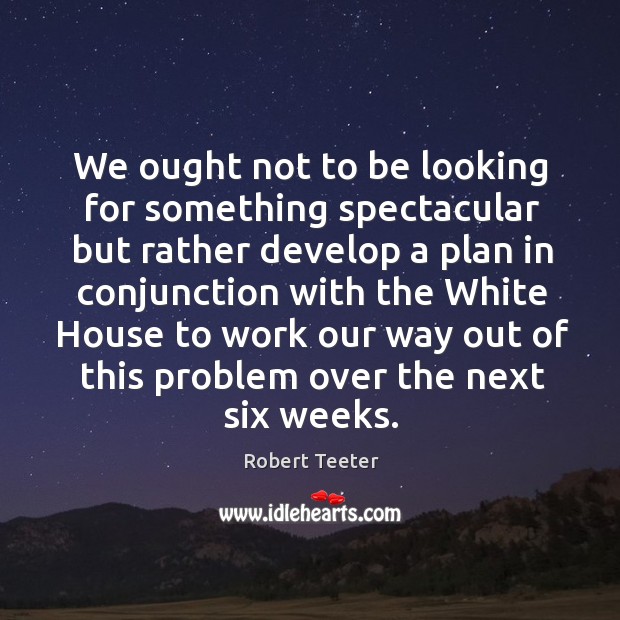 We ought not to be looking for something spectacular but rather develop a plan in Robert Teeter Picture Quote