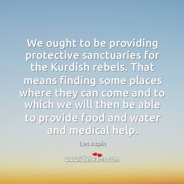 We ought to be providing protective sanctuaries for the kurdish rebels. Les Aspin Picture Quote