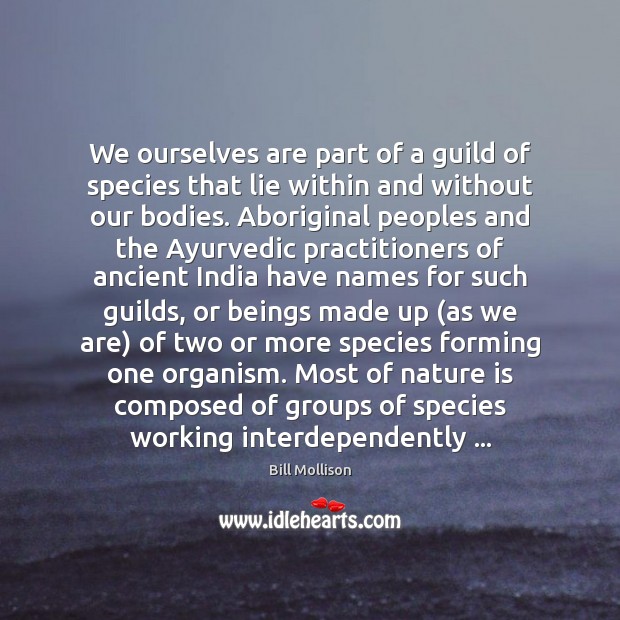 We ourselves are part of a guild of species that lie within Bill Mollison Picture Quote