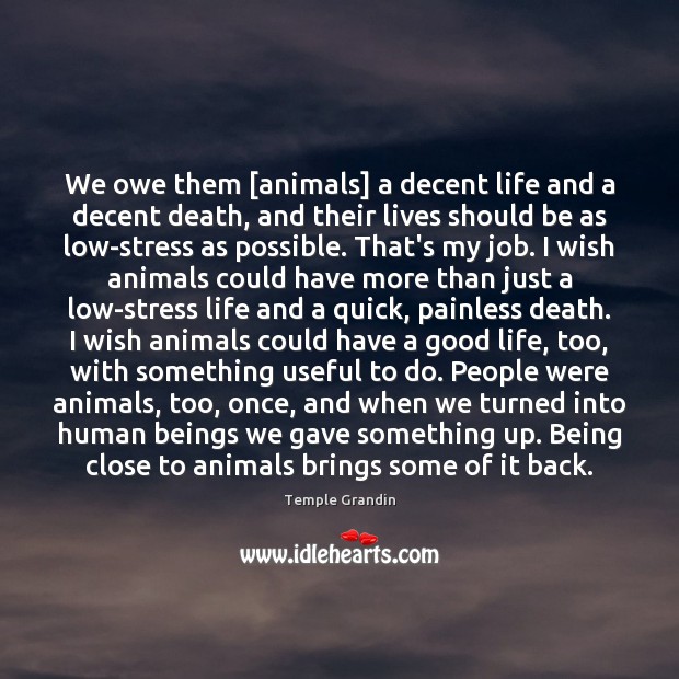 We owe them [animals] a decent life and a decent death, and Temple Grandin Picture Quote