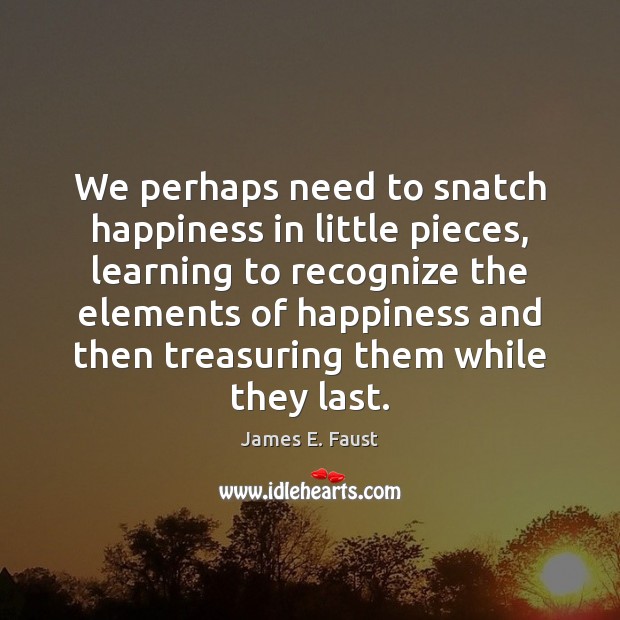 We perhaps need to snatch happiness in little pieces, learning to recognize Image