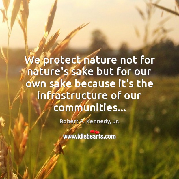 We protect nature not for nature’s sake but for our own sake Robert F. Kennedy, Jr. Picture Quote