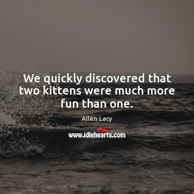 We quickly discovered that two kittens were much more fun than one. Allen Lacy Picture Quote
