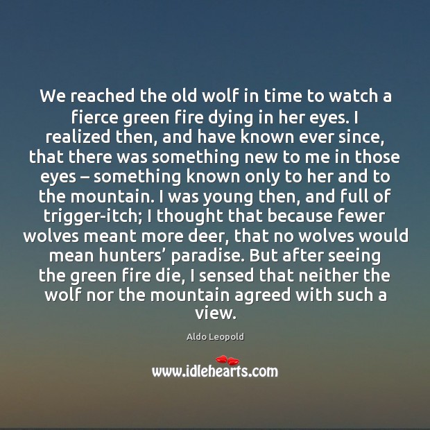 We reached the old wolf in time to watch a fierce green Aldo Leopold Picture Quote