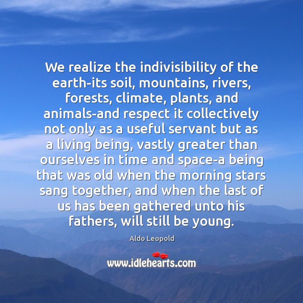 We realize the indivisibility of the earth-its soil, mountains, rivers, forests, climate, Aldo Leopold Picture Quote