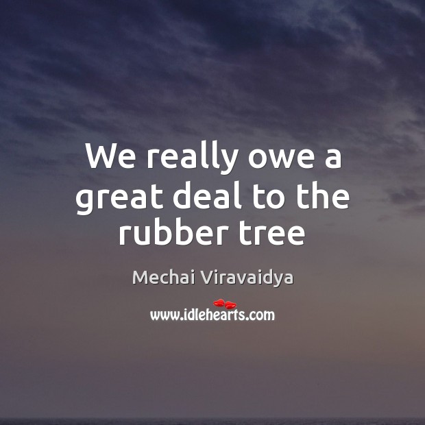 We really owe a great deal to the rubber tree Mechai Viravaidya Picture Quote