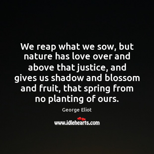 We reap what we sow, but nature has love over and above George Eliot Picture Quote