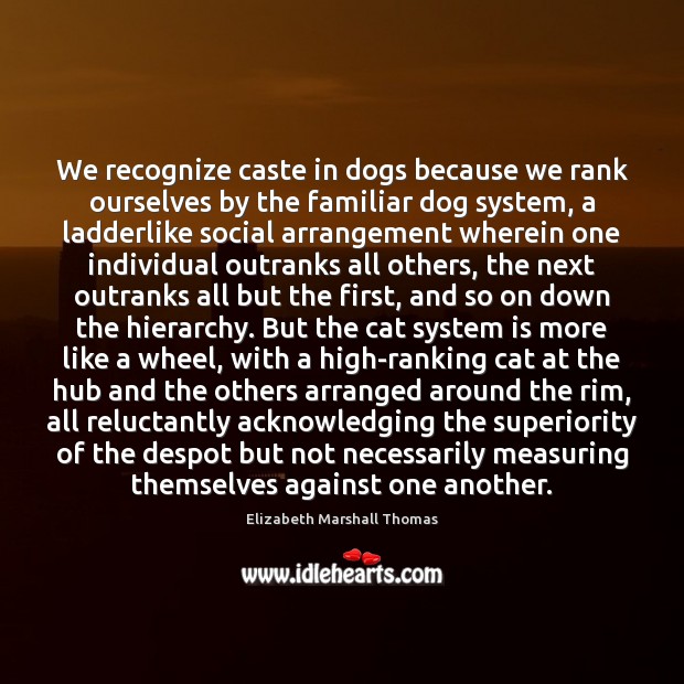 We recognize caste in dogs because we rank ourselves by the familiar 