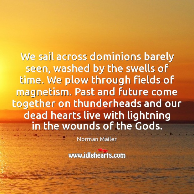 We sail across dominions barely seen, washed by the swells of time. Norman Mailer Picture Quote