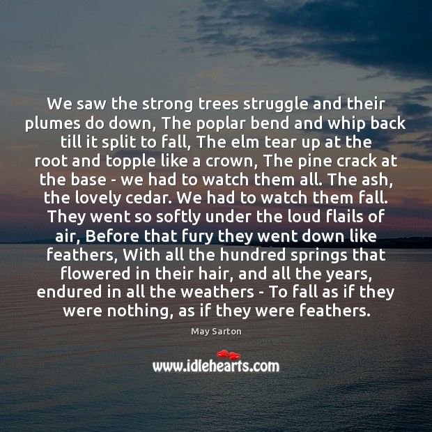 We saw the strong trees struggle and their plumes do down, The May Sarton Picture Quote
