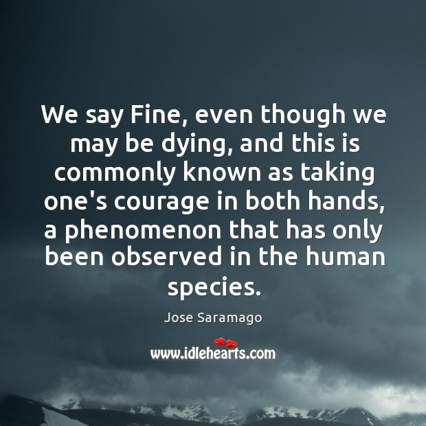 We say Fine, even though we may be dying, and this is Image