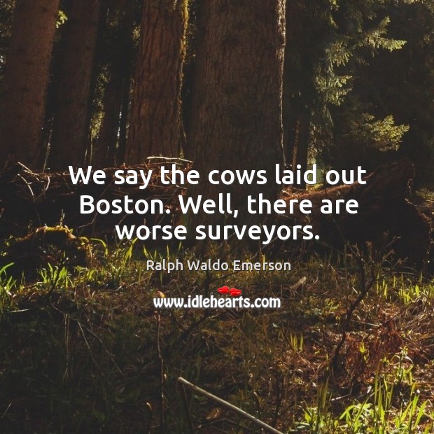 We say the cows laid out Boston. Well, there are worse surveyors. Image
