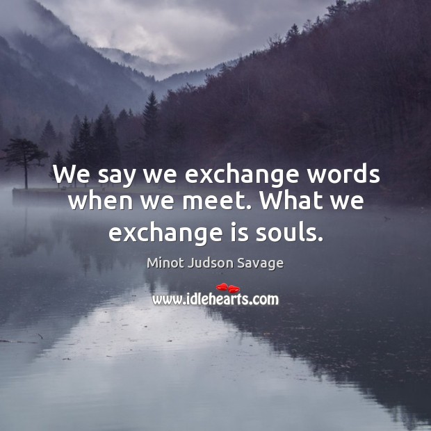 We say we exchange words when we meet. What we exchange is souls. Minot Judson Savage Picture Quote