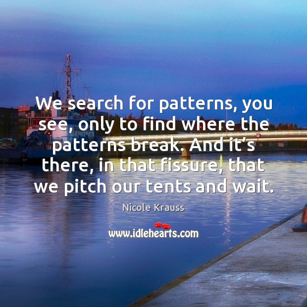 We search for patterns, you see, only to find where the patterns Image