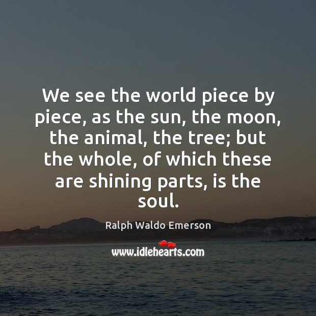 We see the world piece by piece, as the sun, the moon, Image