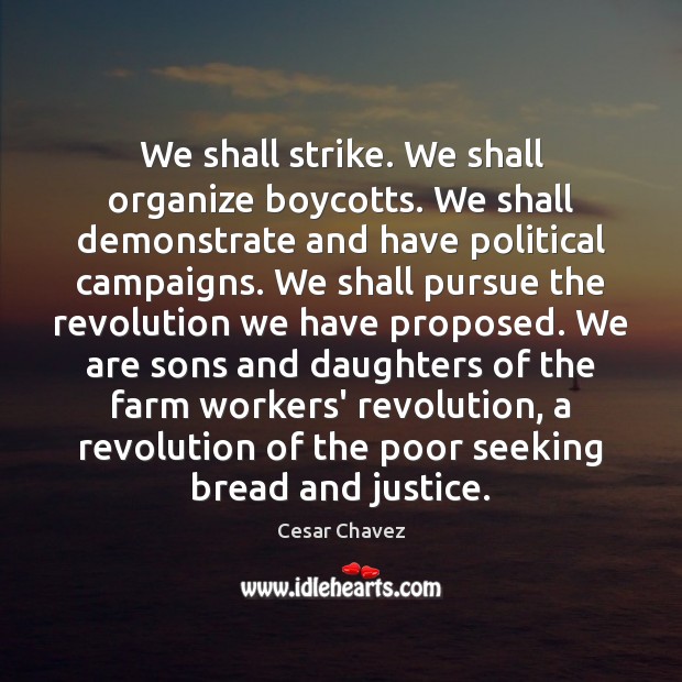 We shall strike. We shall organize boycotts. We shall demonstrate and have Cesar Chavez Picture Quote