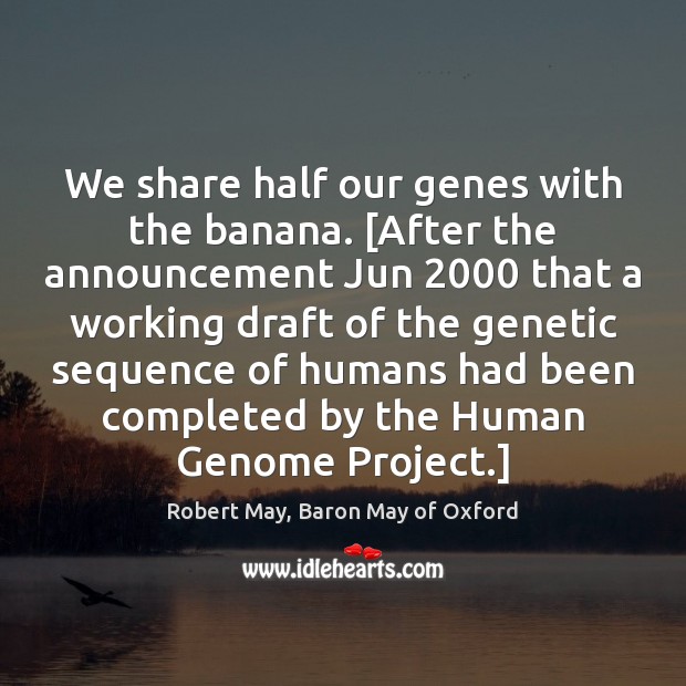 We share half our genes with the banana. [After the announcement Jun 2000 Robert May, Baron May of Oxford Picture Quote