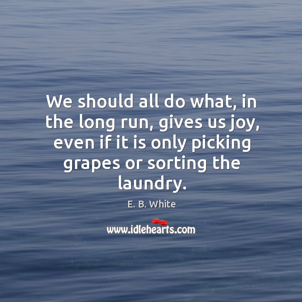 We should all do what, in the long run, gives us joy, even if it is only picking grapes or sorting the laundry. E. B. White Picture Quote