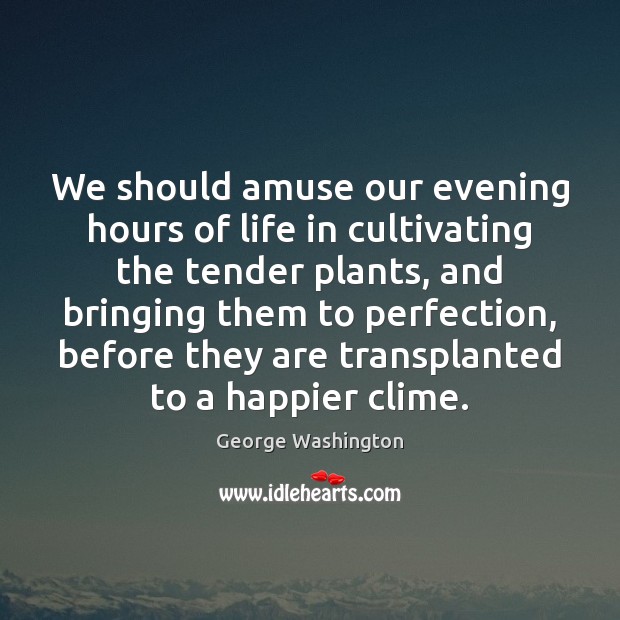 We should amuse our evening hours of life in cultivating the tender George Washington Picture Quote