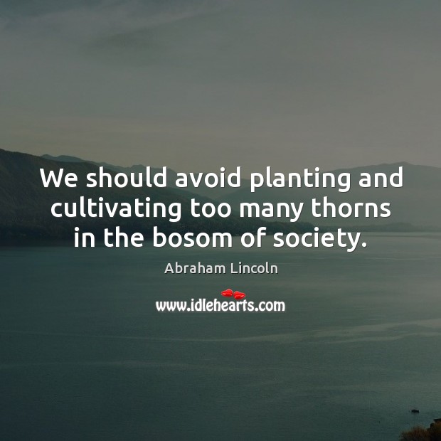 We should avoid planting and cultivating too many thorns in the bosom of society. Image