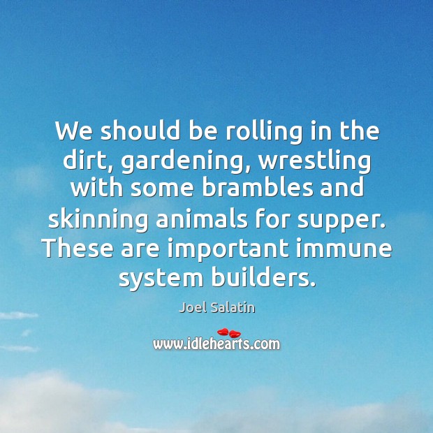 We should be rolling in the dirt, gardening, wrestling with some brambles Joel Salatin Picture Quote