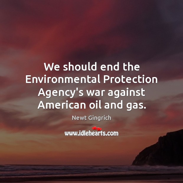 We should end the Environmental Protection Agency’s war against American oil and gas. Newt Gingrich Picture Quote