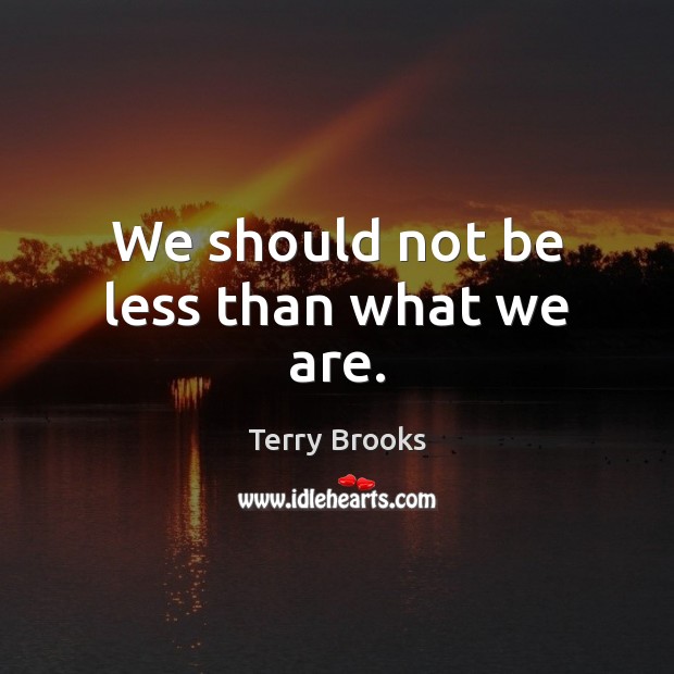 We should not be less than what we are. Terry Brooks Picture Quote