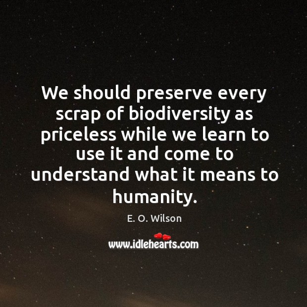 We should preserve every scrap of biodiversity as priceless while we learn E. O. Wilson Picture Quote